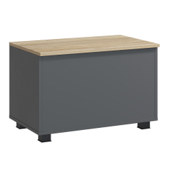 Ящик Скайлайт СЛ-60 блэквуд ячменный/графит