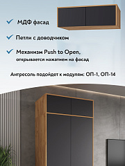 Антресоль Оптима ОП-11 дуб крафт золотой/графит